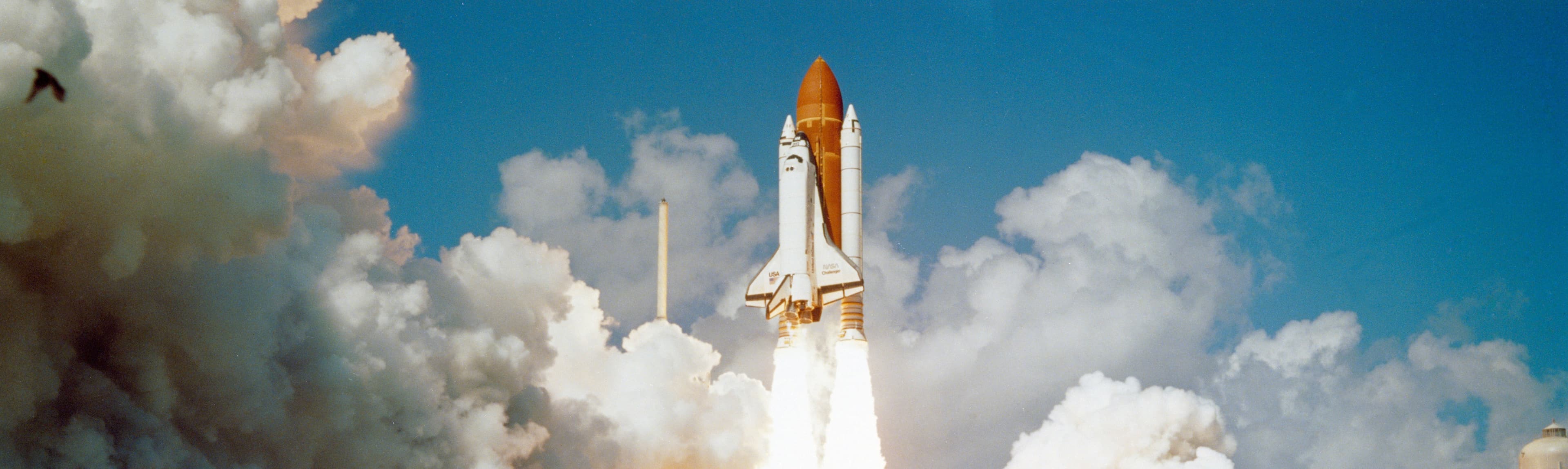 Search and support placeholder